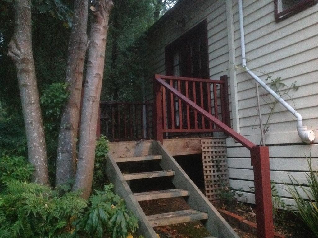 Belgrave Hideaway Bed & Breakfast Exterior photo